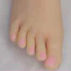 color4