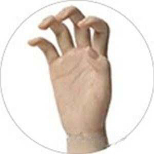 Articulated Fingers