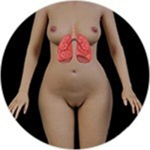 Breathing feature( +$190）