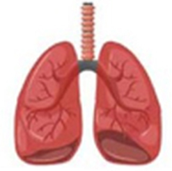 Breathing feature( +$129）