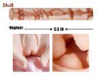 dollamour sexdolls adultdoll AIdoll realisticdolls tpedoll siliconedoll CustomDoll